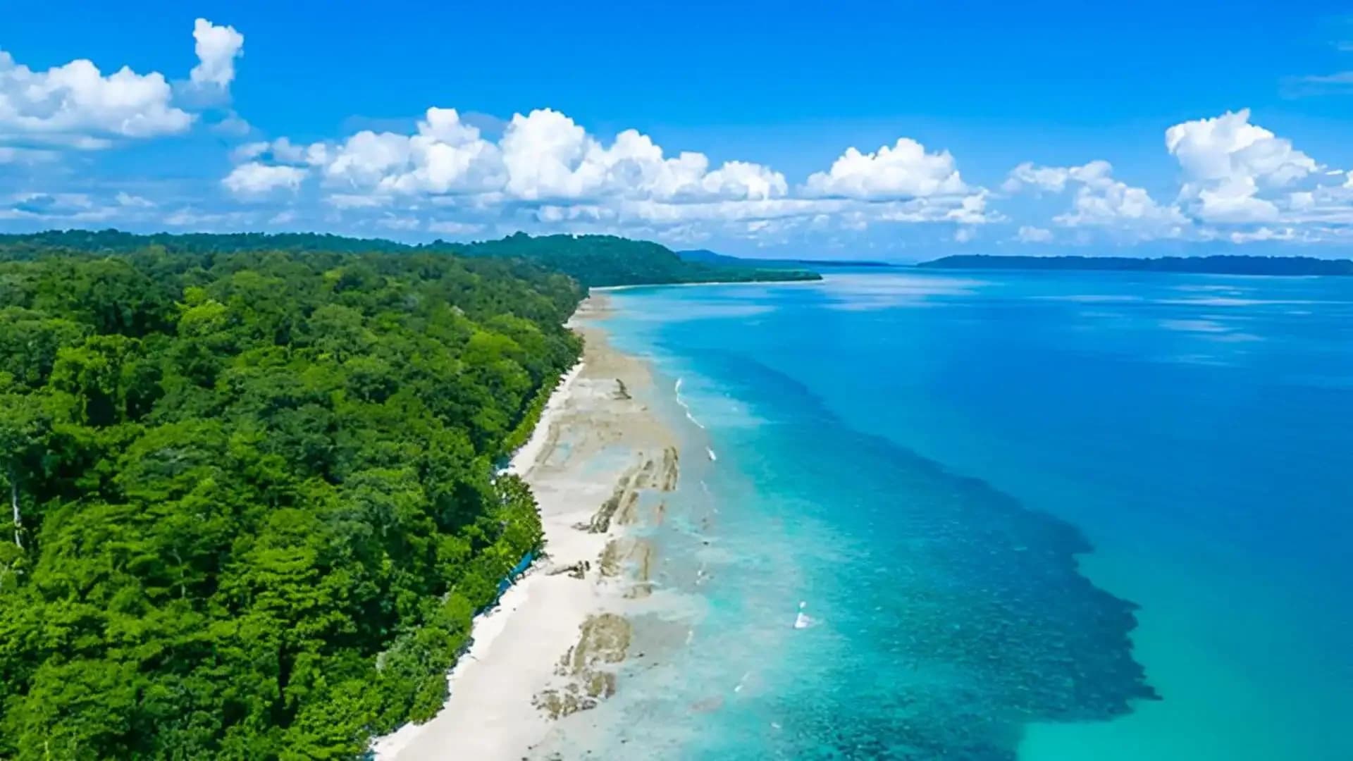 Pristine Andaman Coastline with Turquoise Waters and Rainforest