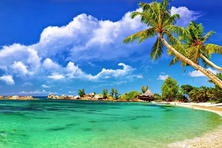 6 Nights / 7 Days — Complete Andaman Experience - Andaman Island Tour